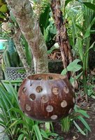 Flowerpot coconut polished. Art. code: CCB003. Size Diameter aprox 13-15 cm. Price FOB 3,20 usd.