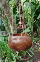 Flowerpot coconut polished/carved. Art. code: CCB006. Size Diameter aprox 13-15 cm. Price FOB 3,20 usd.