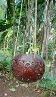Flowerpot coconut polished/carved. Art. code: CCB008. Size Diameter aprox 13-15 cm. Price FOB 3,60 usd.