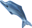 Art. code ZM014. Magnet animal wood Dolphin grey. Size L 10 cm H 3,5 cm. Price FOB 0,25 usd.